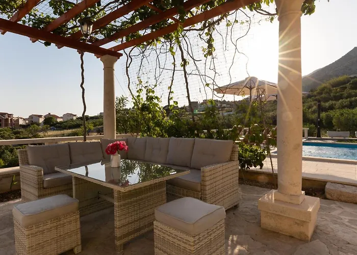 Olive Trees * Μπολ